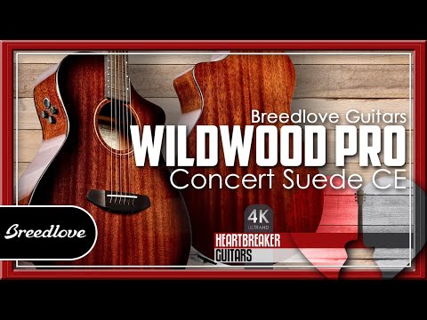 Breedlove Guitars - Wildwood Pro Concert Suede CE | 4k Video