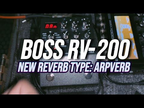 Boss RV-200: ARPVERB!