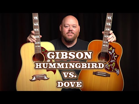 Gibson Acoustic Comparison | Hummingbird vs. Dove