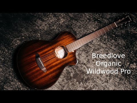 Breedlove Organic Wildwood Pro