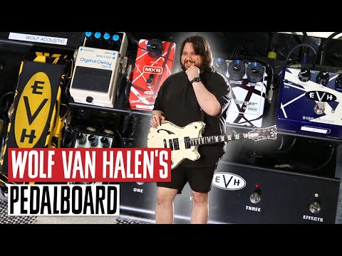 Wolf Van Halen&#039;s Pedalboard