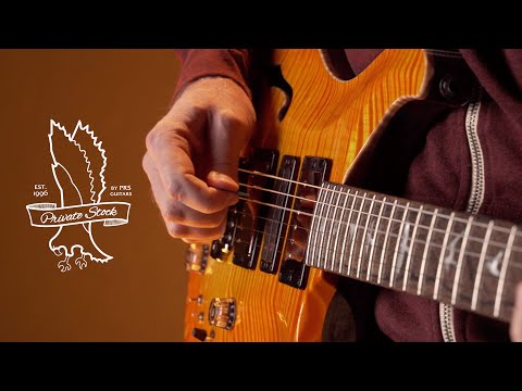 The Private Stock Special Semi-Hollow Limited Edition | PRS Guitars