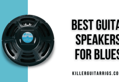 3 Best Guitar Speakers for Blues in 2022