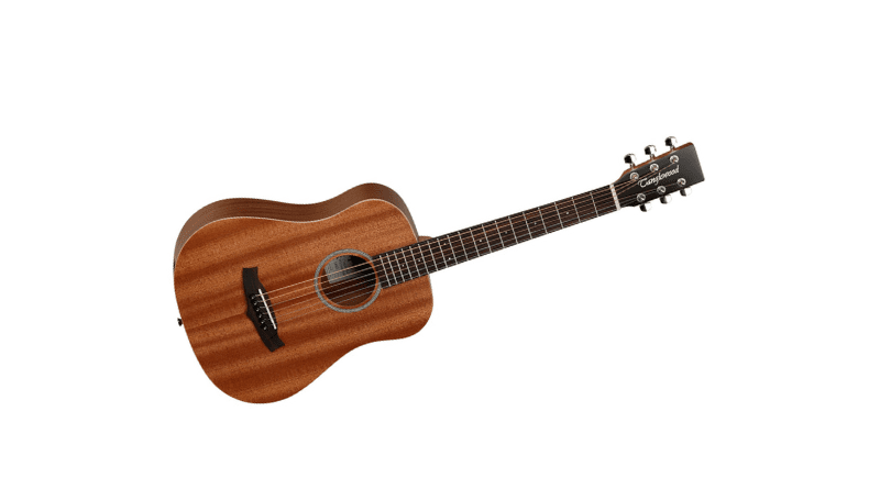 Best Acoustic Guitar Kits - Tanglewood TW2T
