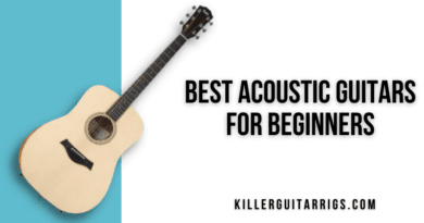 Best Acoustic Guitars for Beginners