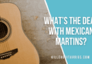 What’s the Deal with Mexican Martins