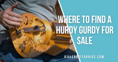 Where to Find a Hurdy Gurdy for Sale