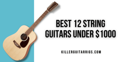 Best 12 String Guitars Under 00