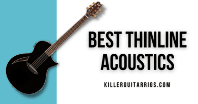 Best Thinline Acoustics