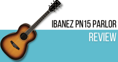 Ibanez PN15 Parlor Review