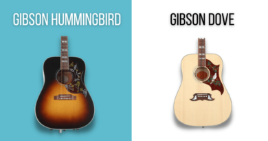 Gibson Dove vs. Hummingbird