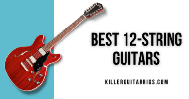 Best 12-String Guitars Review