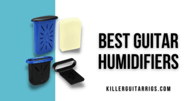 Best Guitar Humidifiers