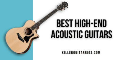 Best High-End Acoustic Guitars Review